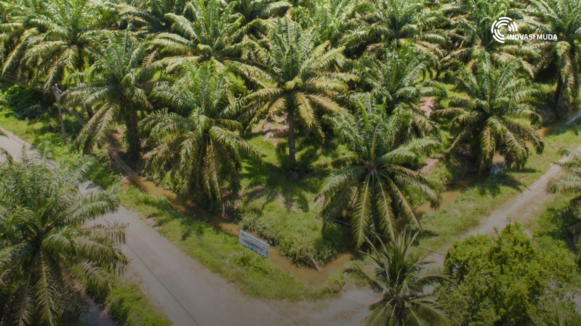 Youth at the Frontline: Combating Forest Encroachment in Indonesia and Malaysia