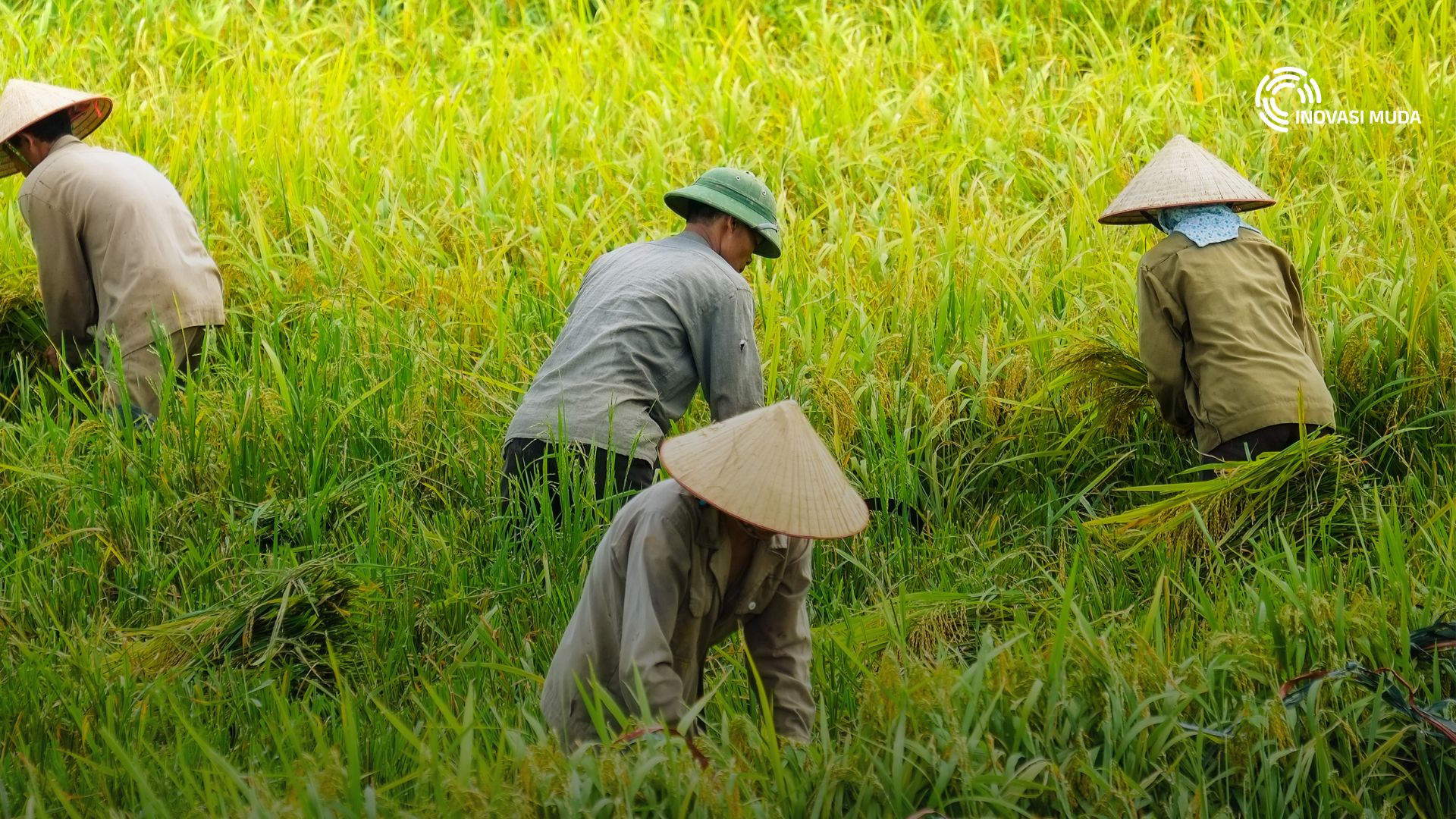 Penjual Jasa Iklim: Babak Baru Petani dalam Ekonomi Hijau Indonesia