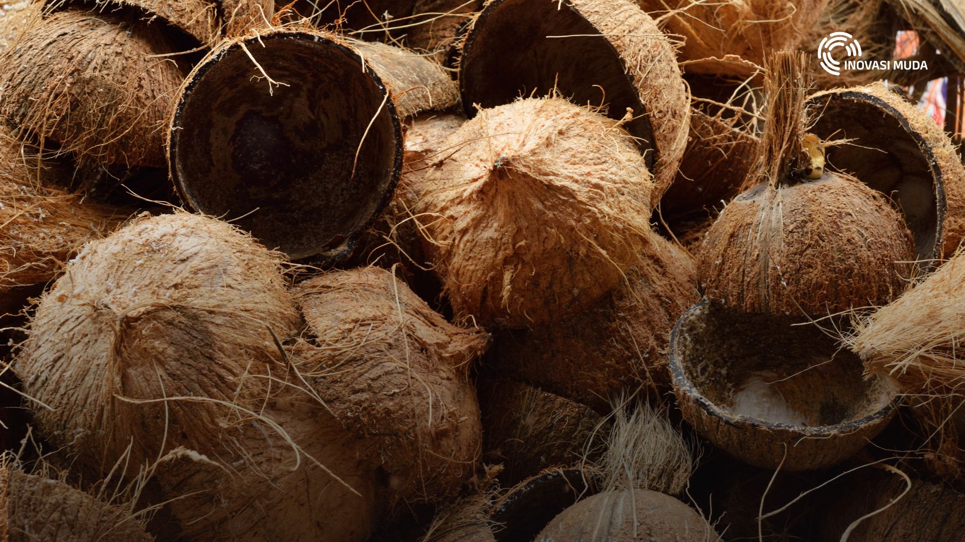 Serat Kelapa Pulau Sumbawa, Sarat Energi Baru Untuk Ekonomi Sirkular dan Green Jobs